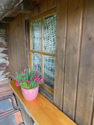 Ferienhaus Irene Friedrichshafen Bagian luar foto